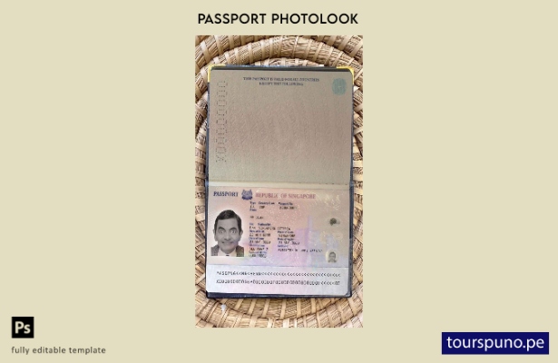 lista para imprimir plantilla de aspecto fotográfico del pase de Singapur ( )